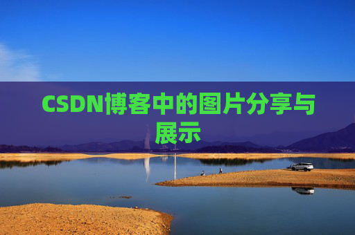 CSDN博客中的图片分享与展示